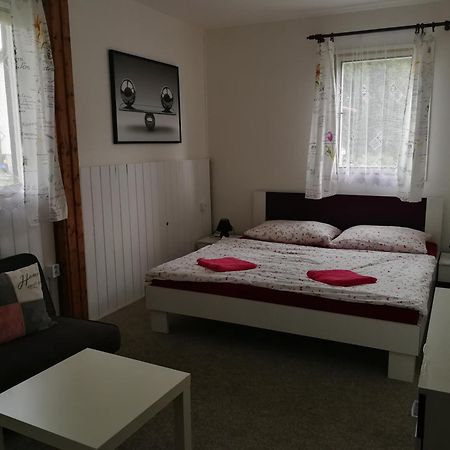 Penzion Tomy Na Plazi Hotel Frymburk Buitenkant foto