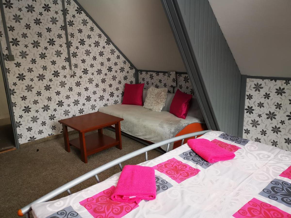 Penzion Tomy Na Plazi Hotel Frymburk Buitenkant foto