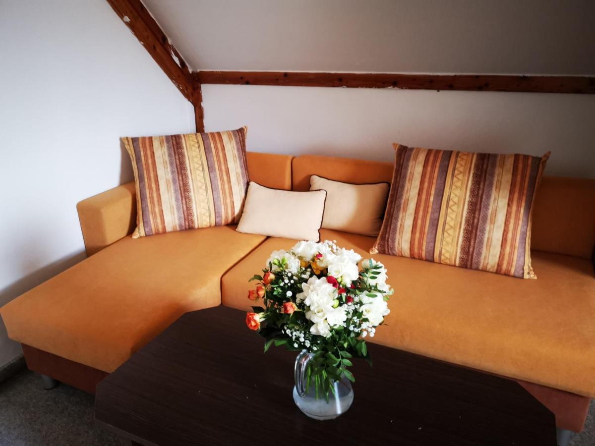 Penzion Tomy Na Plazi Hotel Frymburk Buitenkant foto