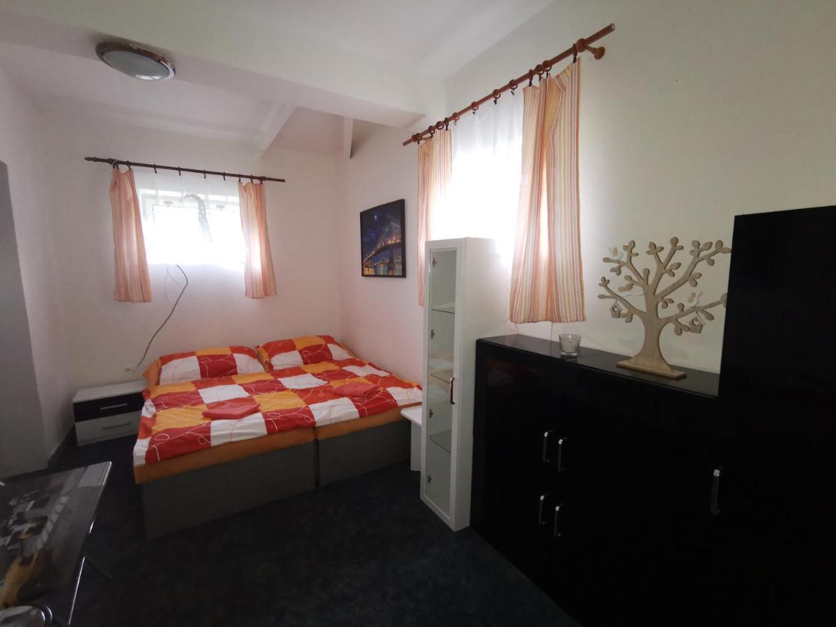 Penzion Tomy Na Plazi Hotel Frymburk Buitenkant foto