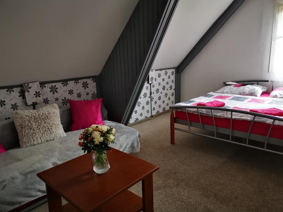Penzion Tomy Na Plazi Hotel Frymburk Buitenkant foto