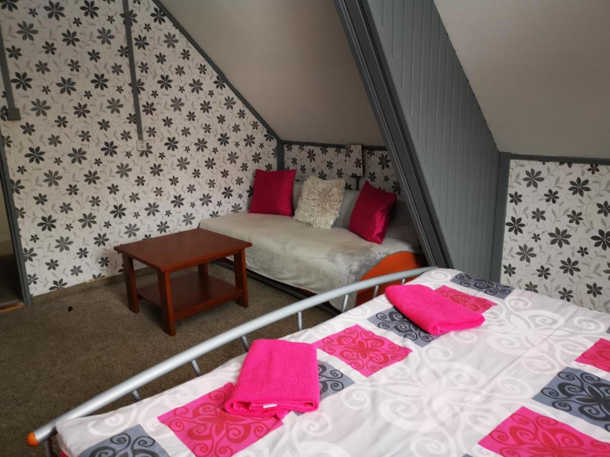 Penzion Tomy Na Plazi Hotel Frymburk Buitenkant foto