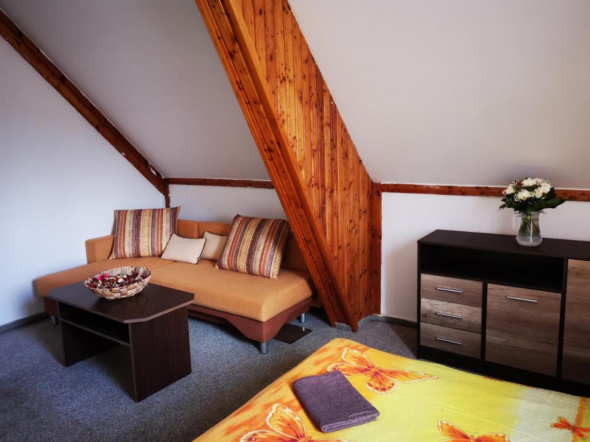 Penzion Tomy Na Plazi Hotel Frymburk Buitenkant foto
