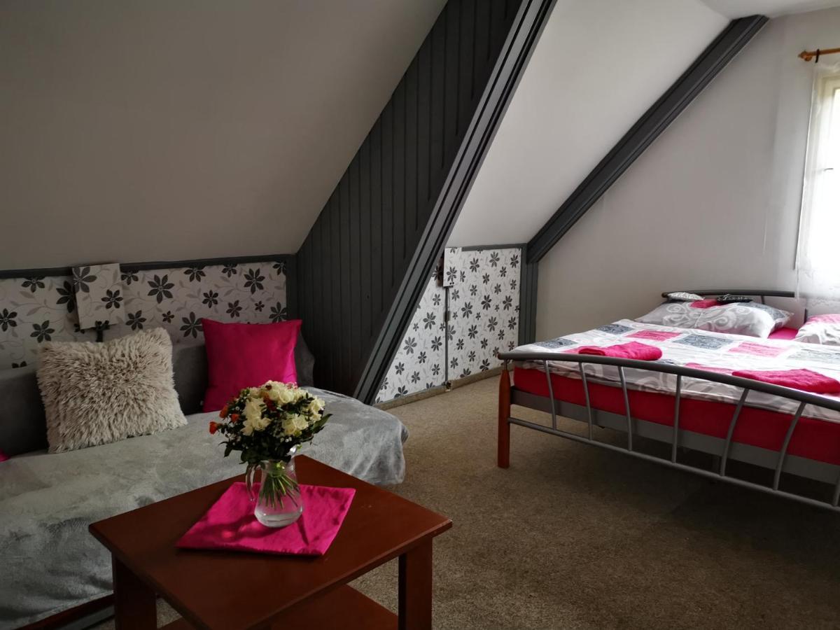 Penzion Tomy Na Plazi Hotel Frymburk Buitenkant foto