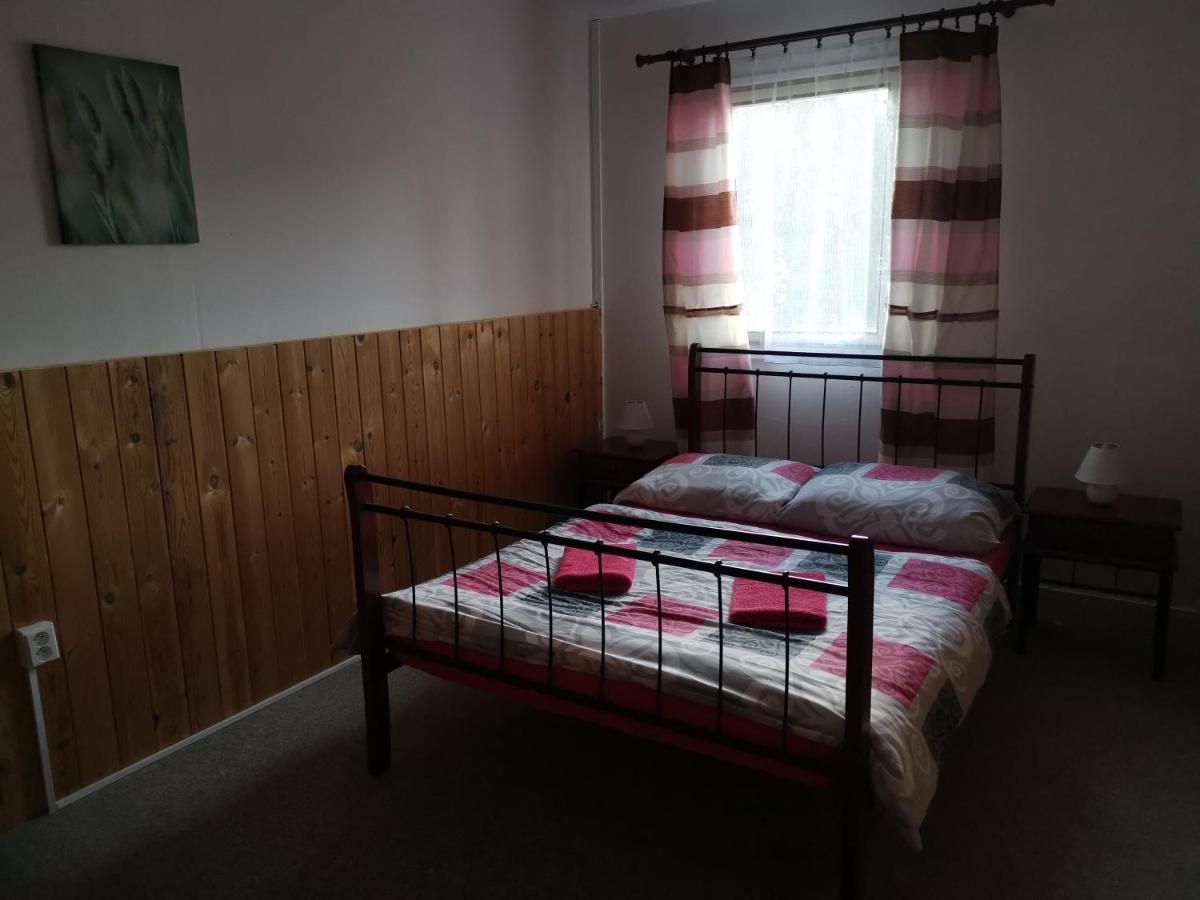 Penzion Tomy Na Plazi Hotel Frymburk Buitenkant foto